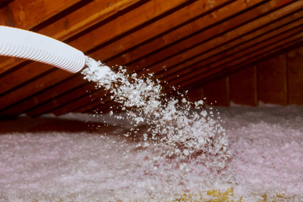 Best Specialized Insulation Services in Pleasant View, UT