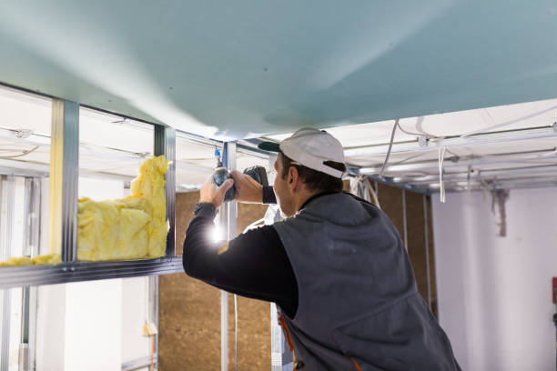 Best Spray Foam Insulation in Pleasant View, UT